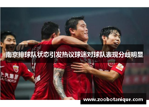 南京排球队状态引发热议球迷对球队表现分歧明显