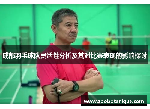 成都羽毛球队灵活性分析及其对比赛表现的影响探讨