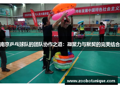南京乒乓球队的团队协作之道：凝聚力与默契的完美结合