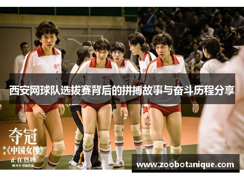 西安网球队选拔赛背后的拼搏故事与奋斗历程分享