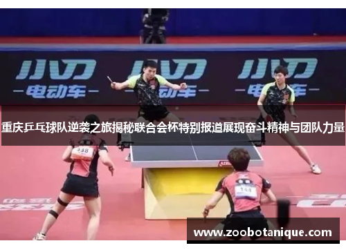 重庆乒乓球队逆袭之旅揭秘联合会杯特别报道展现奋斗精神与团队力量
