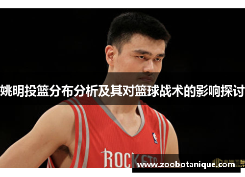 姚明投篮分布分析及其对篮球战术的影响探讨