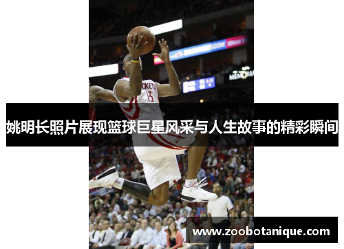 姚明长照片展现篮球巨星风采与人生故事的精彩瞬间