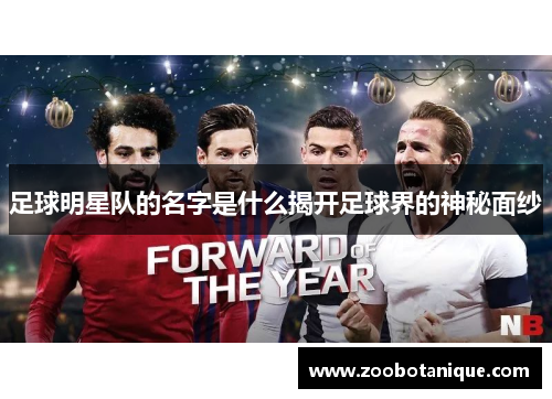 足球明星队的名字是什么揭开足球界的神秘面纱