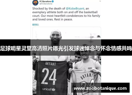 足球明星灵堂高清照片曝光引发球迷悼念与怀念情感共鸣