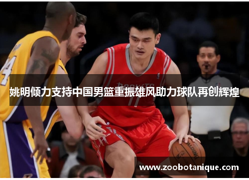 姚明倾力支持中国男篮重振雄风助力球队再创辉煌