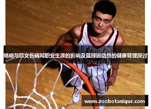 姚明与欧文伤病对职业生涯的影响及篮球运动员的健康管理探讨