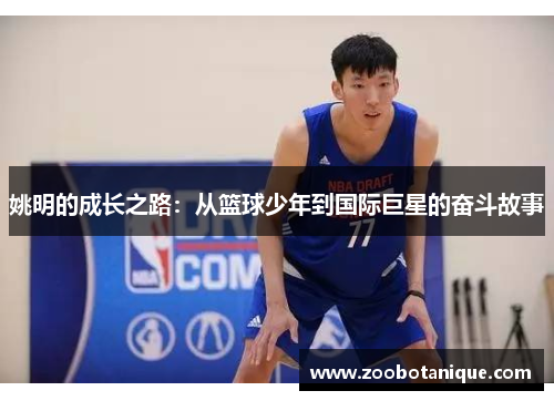 姚明的成长之路：从篮球少年到国际巨星的奋斗故事