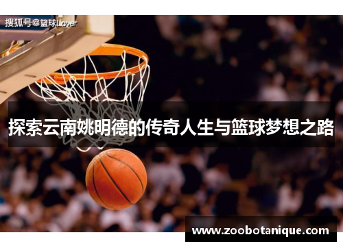 探索云南姚明德的传奇人生与篮球梦想之路