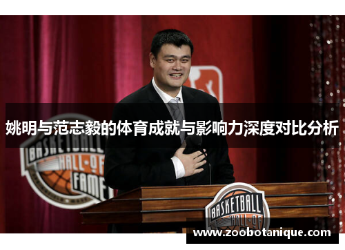 姚明与范志毅的体育成就与影响力深度对比分析