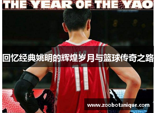 回忆经典姚明的辉煌岁月与篮球传奇之路