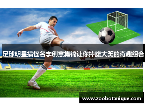 足球明星搞怪名字创意集锦让你捧腹大笑的奇趣组合