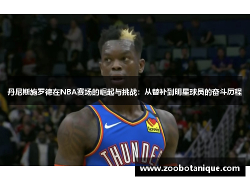 丹尼斯施罗德在NBA赛场的崛起与挑战：从替补到明星球员的奋斗历程