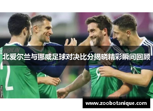 北爱尔兰与挪威足球对决比分揭晓精彩瞬间回顾