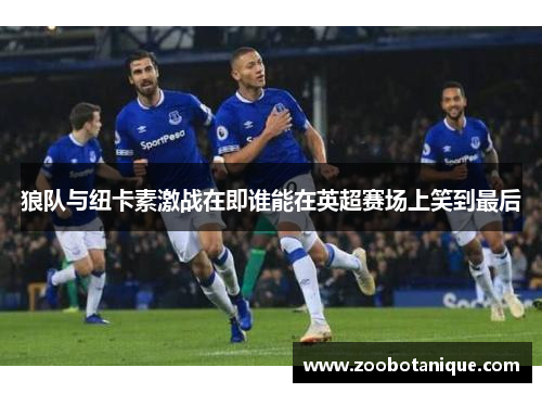 狼队与纽卡素激战在即谁能在英超赛场上笑到最后