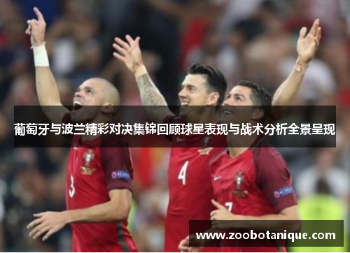 葡萄牙与波兰精彩对决集锦回顾球星表现与战术分析全景呈现