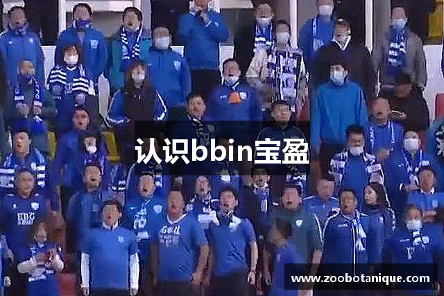 认识bbin宝盈